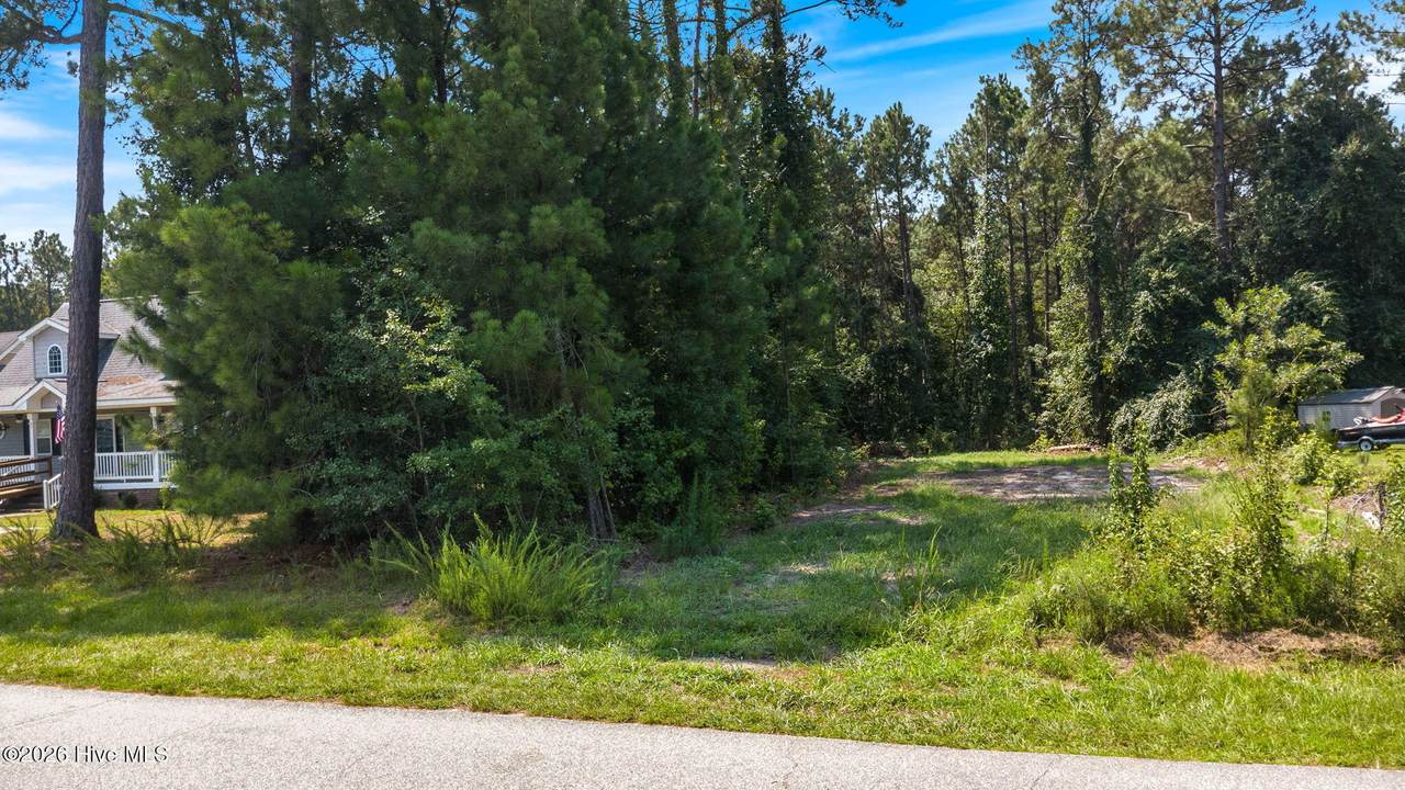 202 Grays Lane - Photo 1