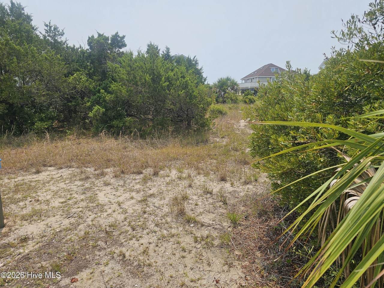 8 Black Skimmer Trail - Photo 1