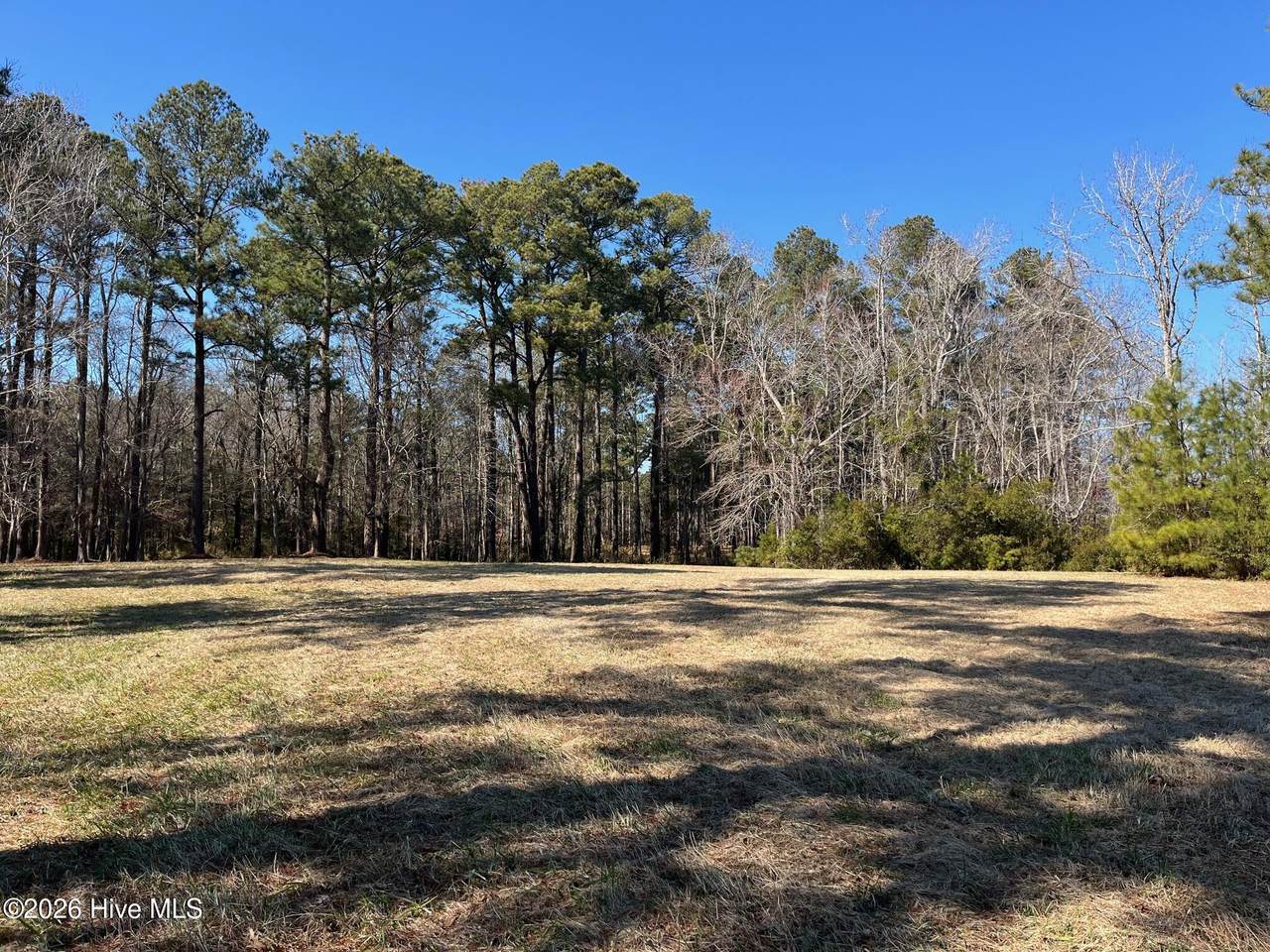 62 Currituck Court - Photo 1