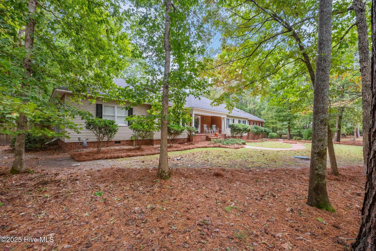 3107 Coriander Drive - Photo 1