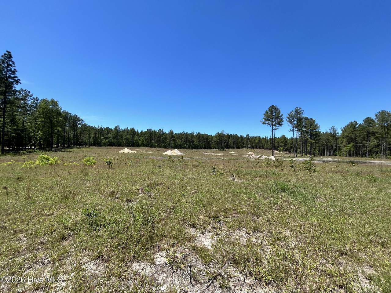 349 Lally Circle - Photo 1