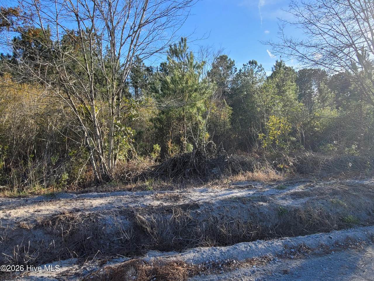 Lot 2 Auburn Drive - Photo 1