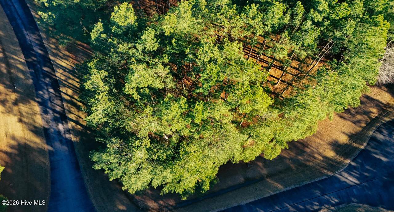 301 Plumtree Circle - Photo 1