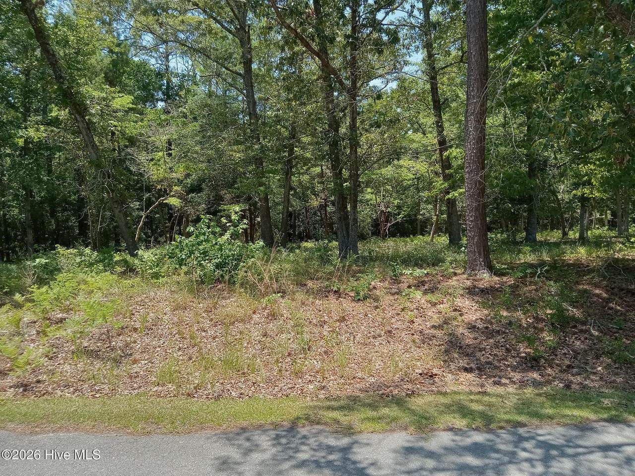 539 River Heights Trace - Photo 1