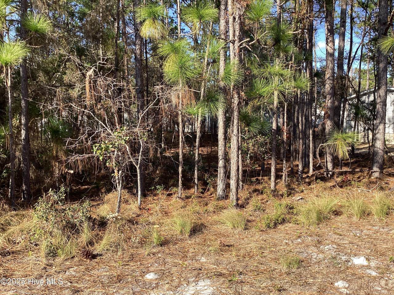 3088 Cross Street - Photo 1