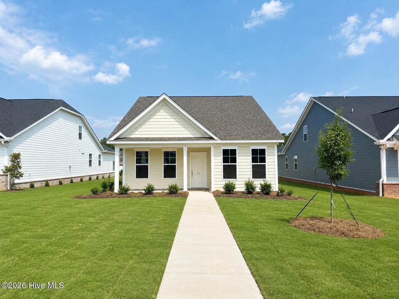 433 Minim Way - Photo 1