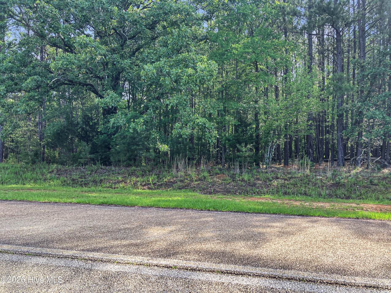 1048 Clinton-Williams Road - Photo 1