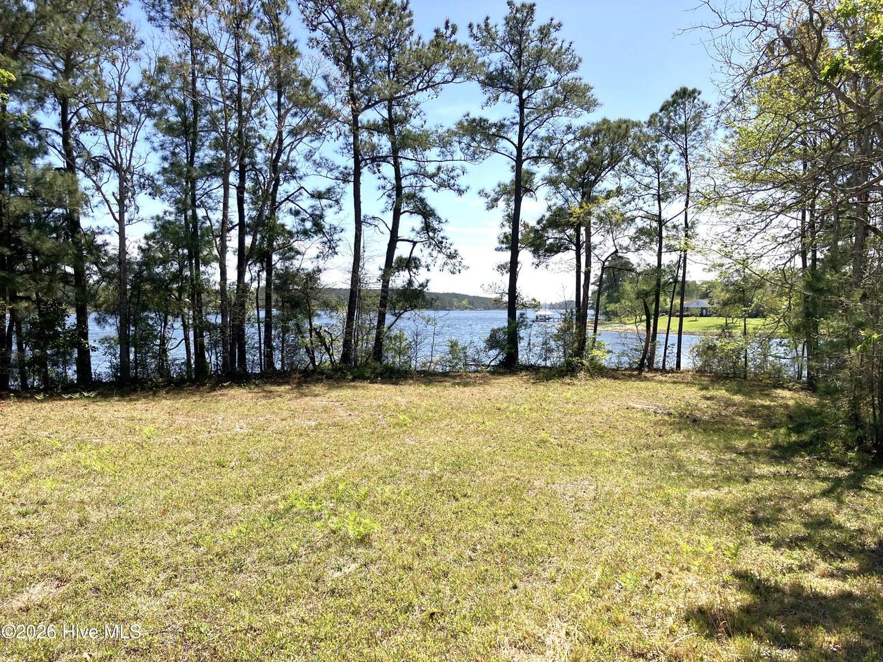 0 Lukeath Carter Drive - Photo 1
