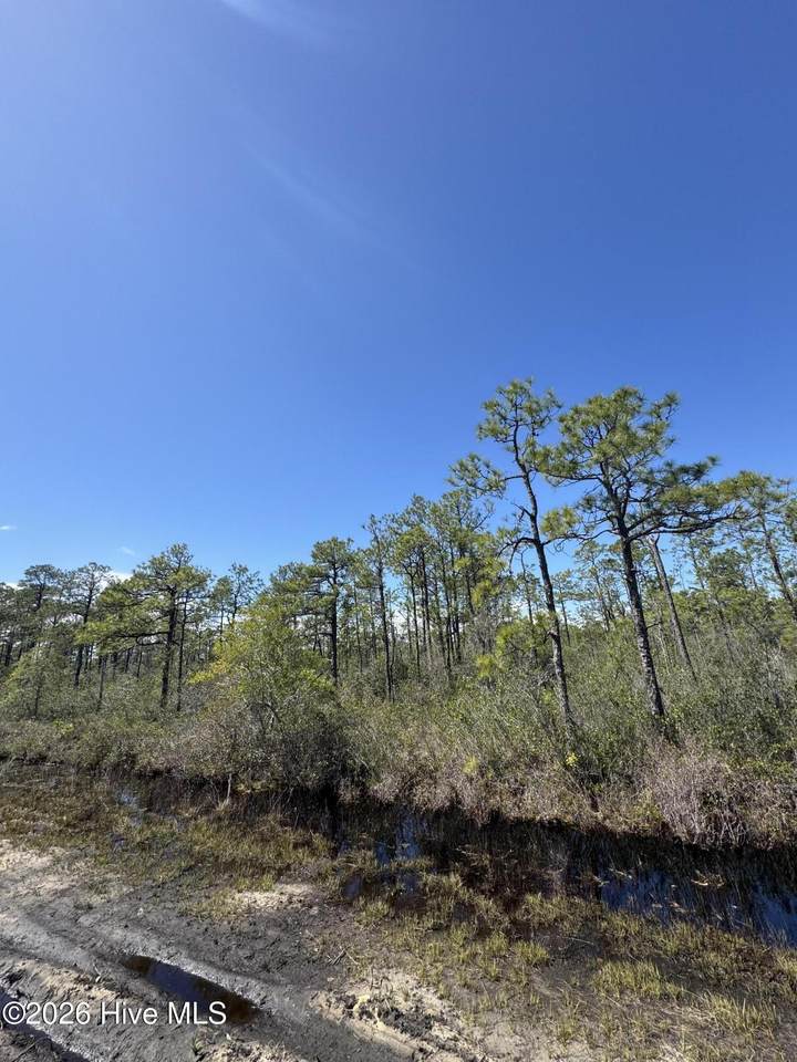 Lot 316 Columbus Road - Photo 1