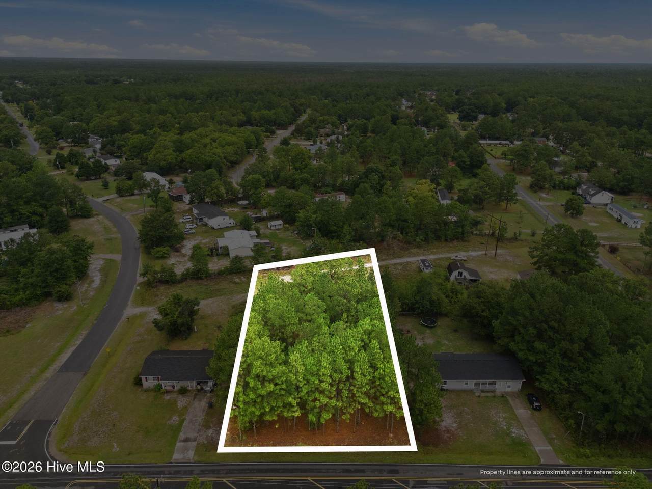 3632 Mt Misery Road - Photo 1