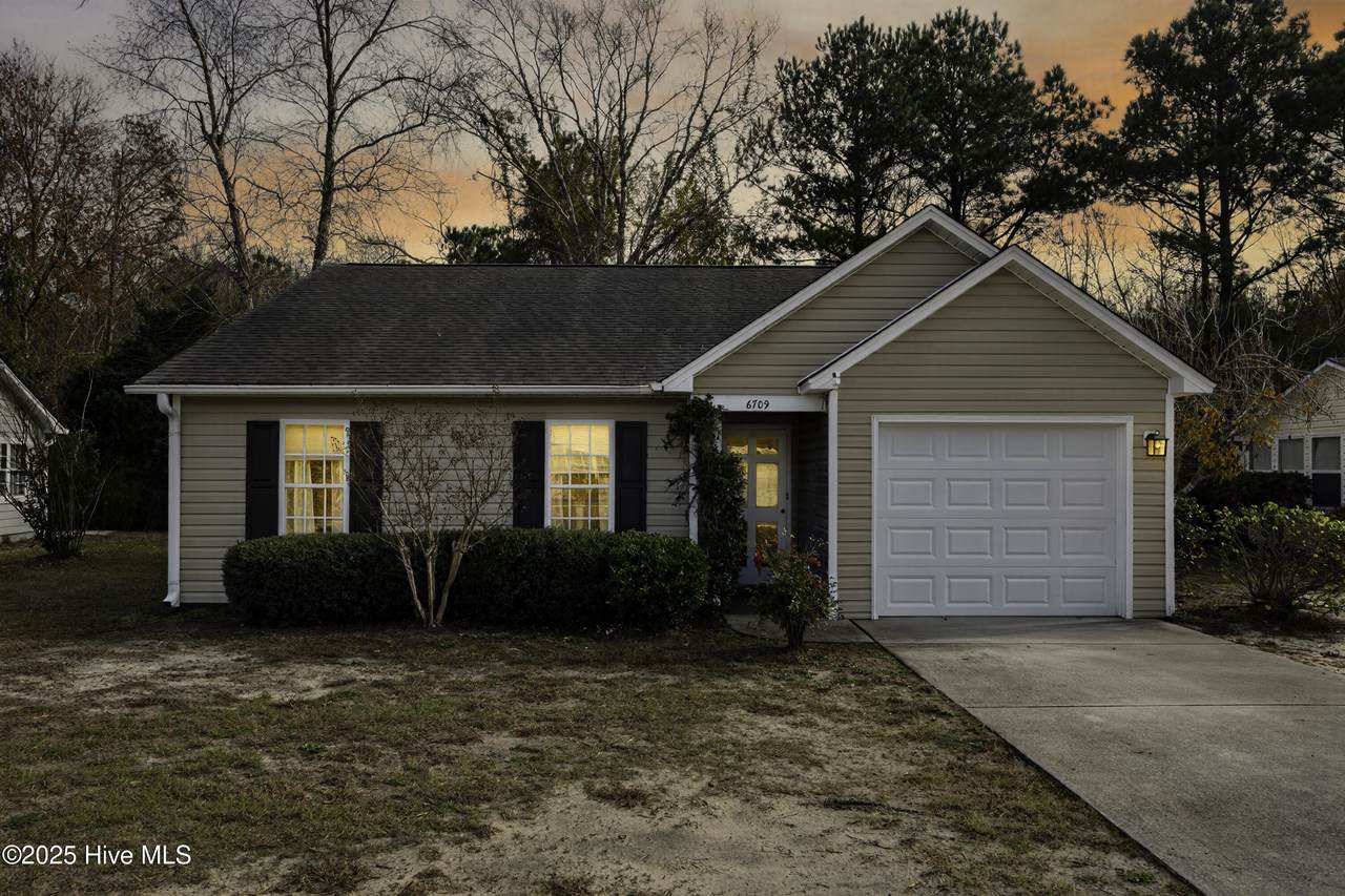 6709 Hailsham Drive - Photo 1