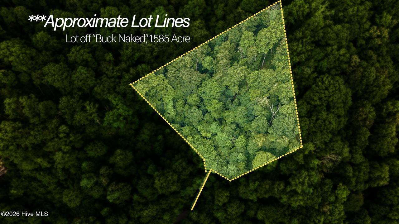 Lot Off Buck Naked Road - Photo 1