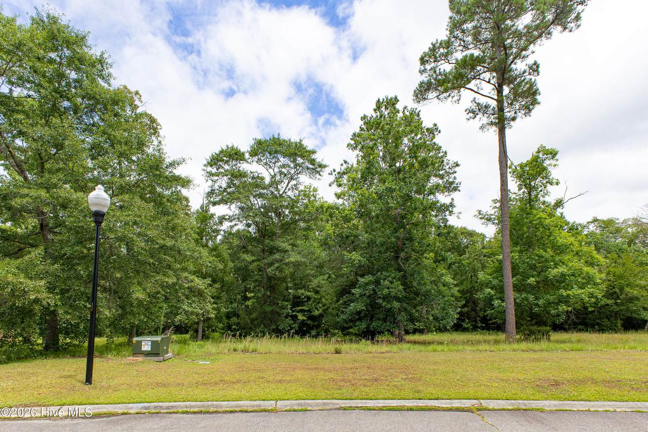 535 Wild Rice Drive - Photo 1