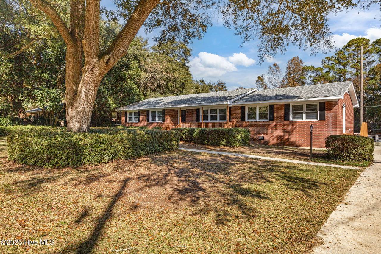 119 Futch Creek Road - Photo 1