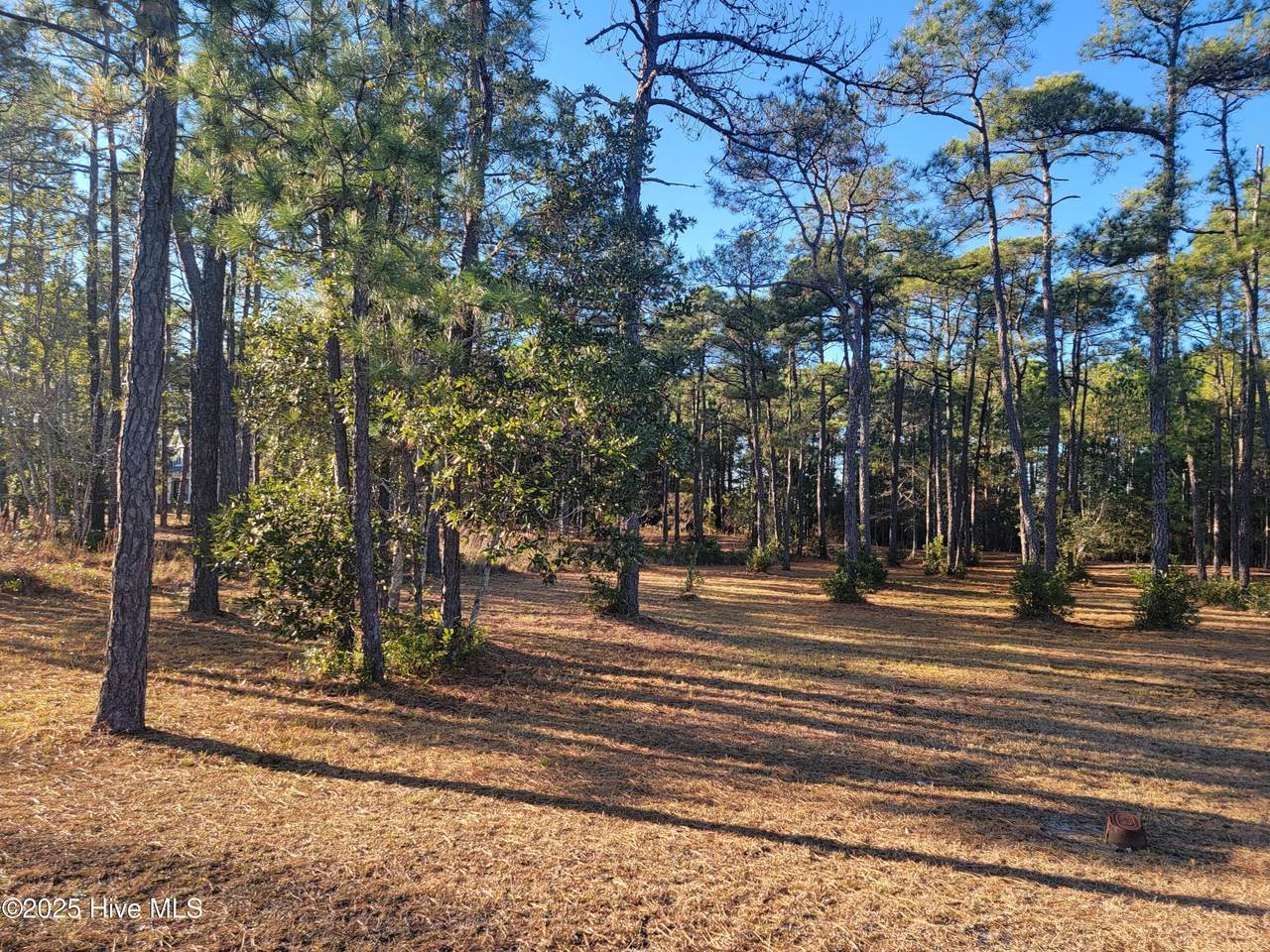 6727 Dunlowe Notch - Photo 1