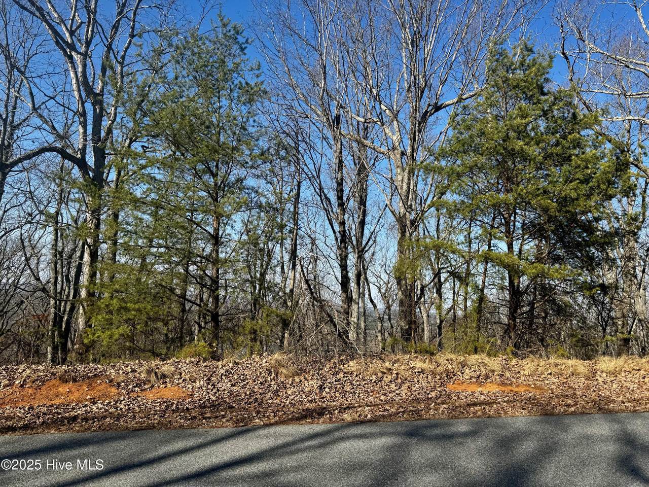 2389 Sierra Trace Road - Photo 1