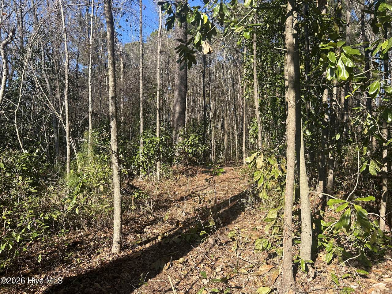 13 Rockhill Road - Photo 1