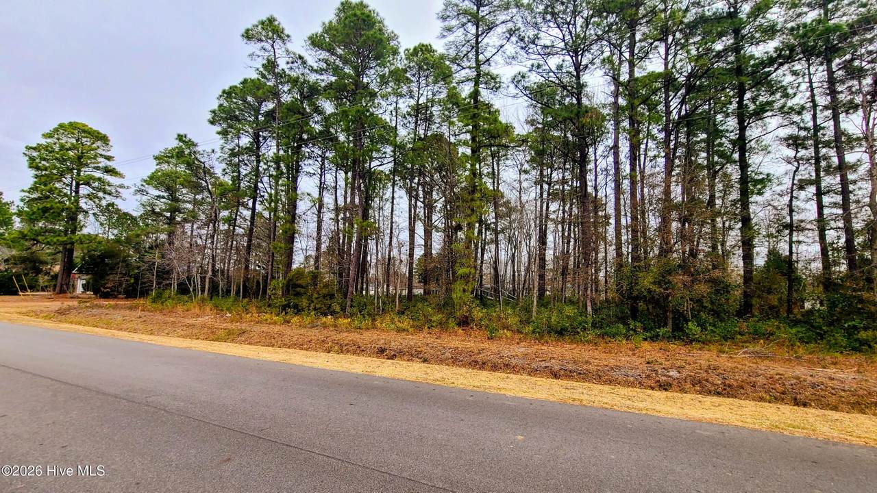 57 Pinewood Drive - Photo 1