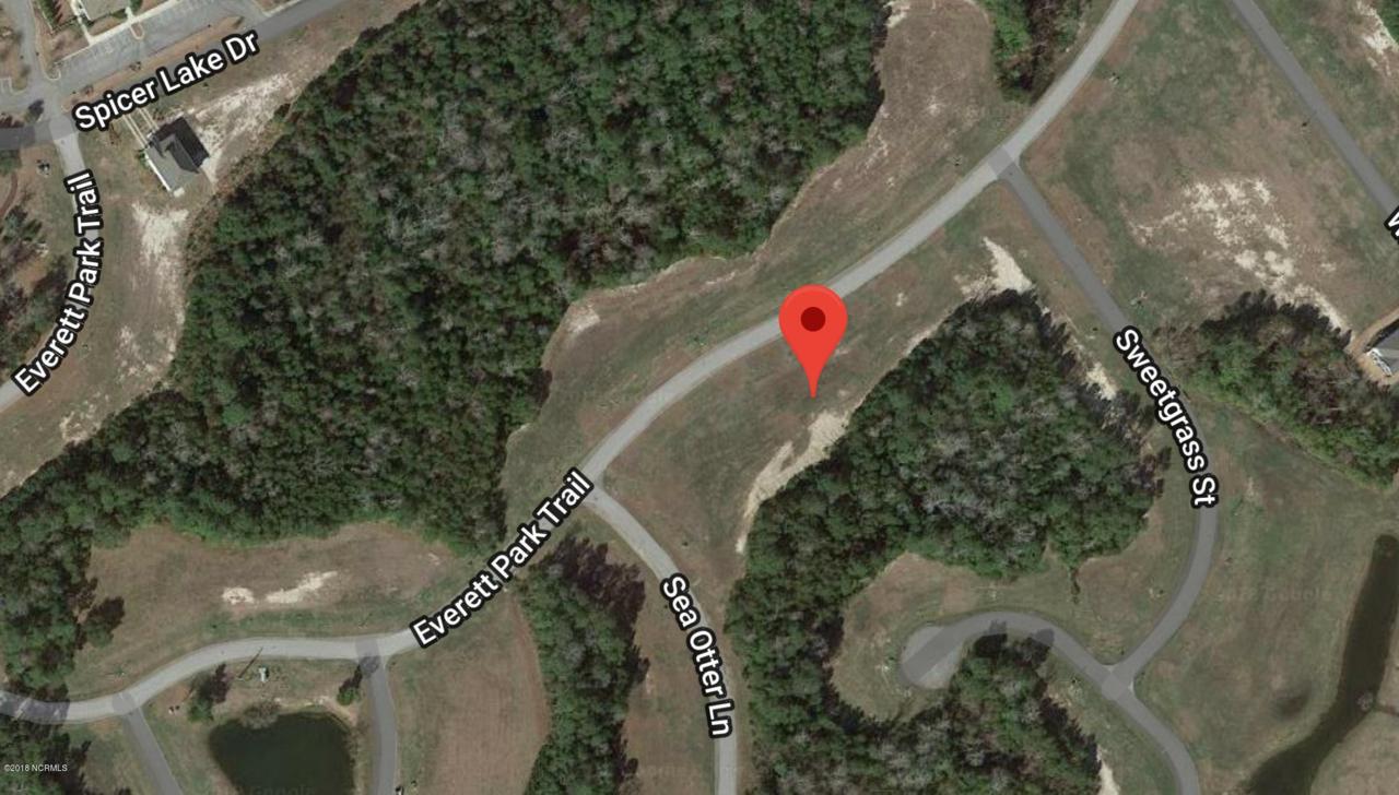 178 Everett Park Trail - Photo 1