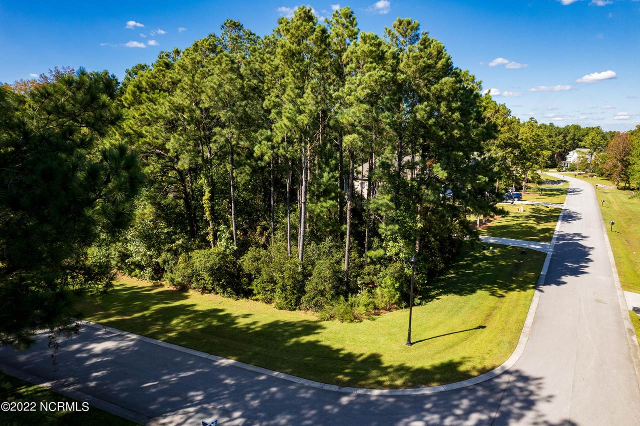 Lot 81 Iris Way - Photo 1