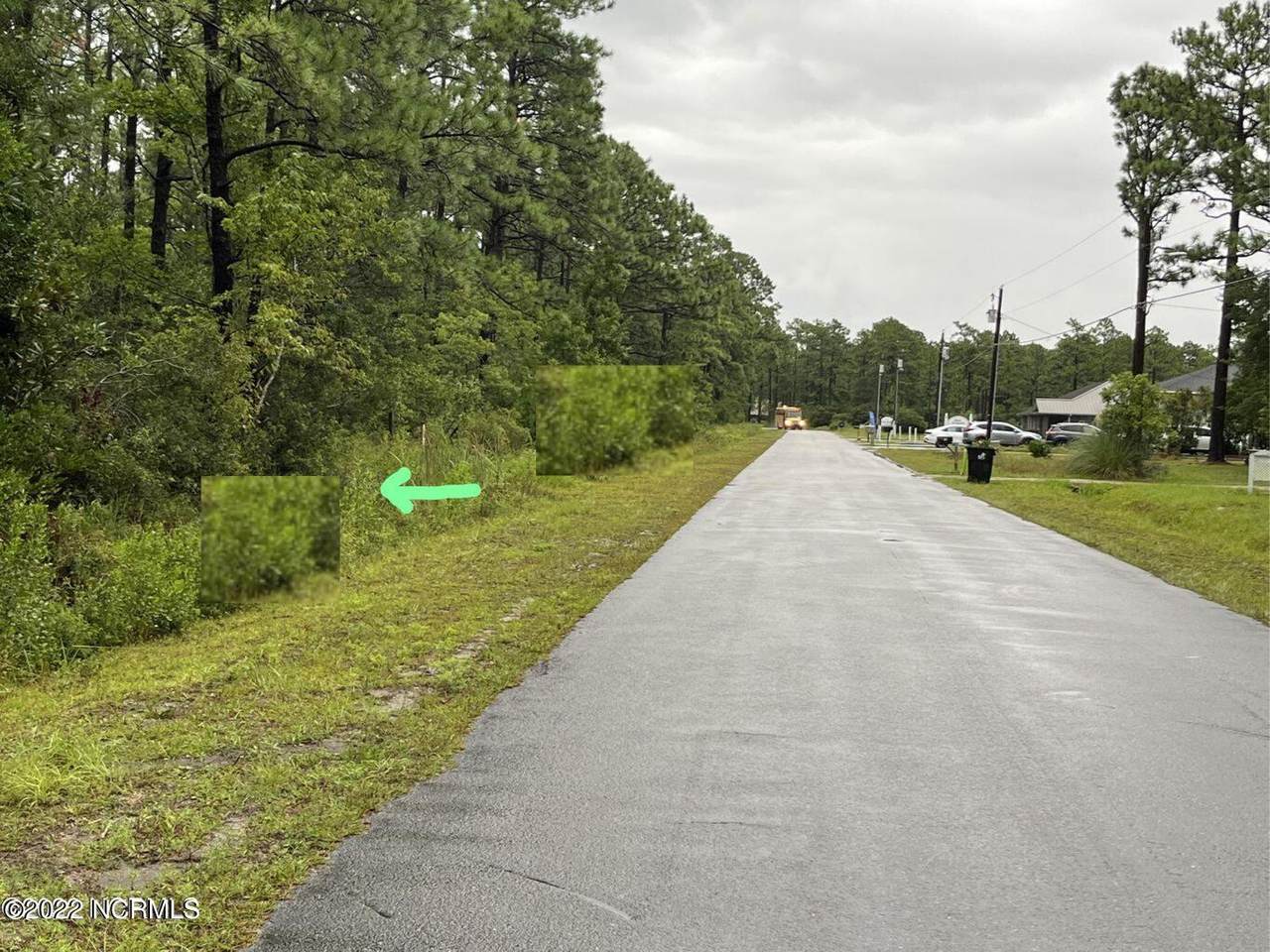 27 West Boiling Spring Lake Road - Photo 1