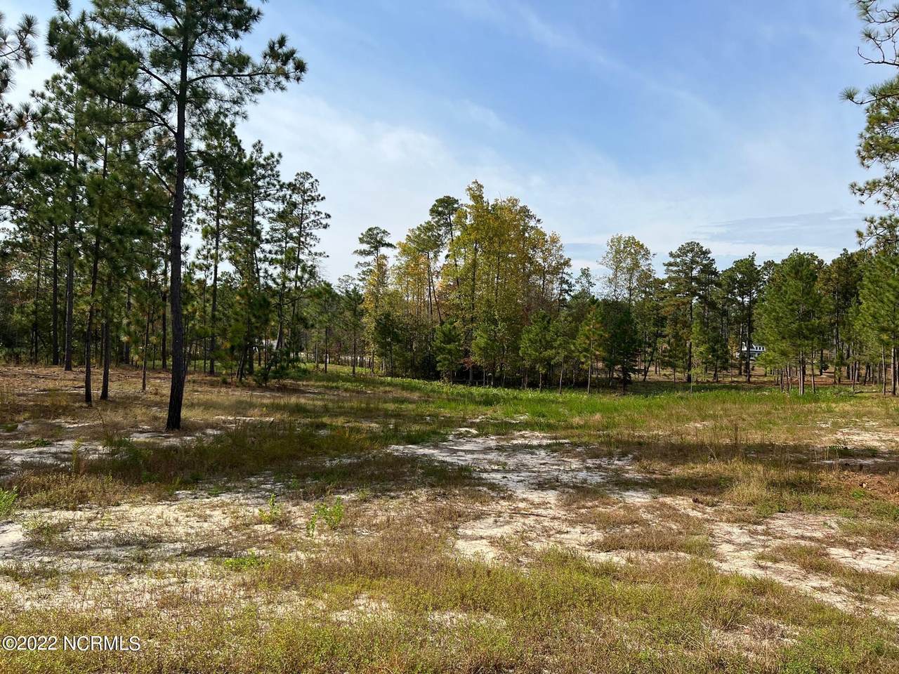 7018 Harrison Lane - Photo 1