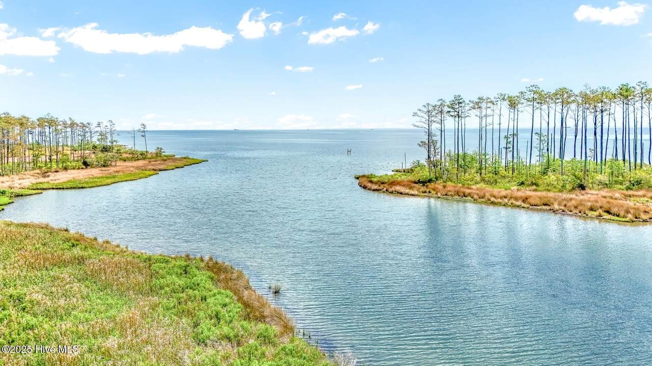 203 River Watch Road - Photo 1