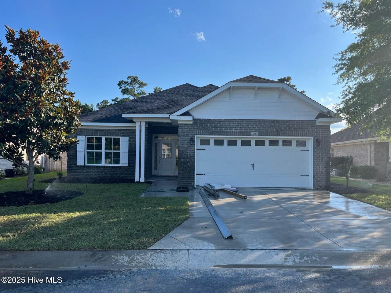 1203 Opaca Drive - Photo 1