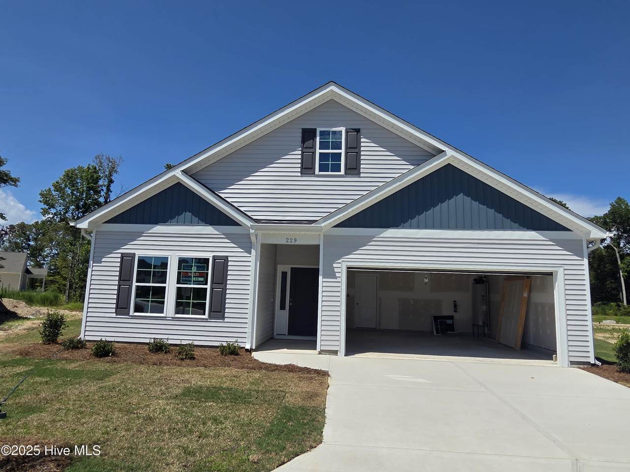 229 Lady Bug Drive - Photo 1
