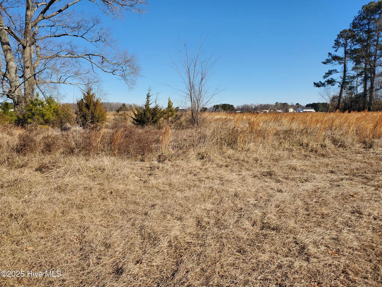 574 Belvidere Road - Photo 1
