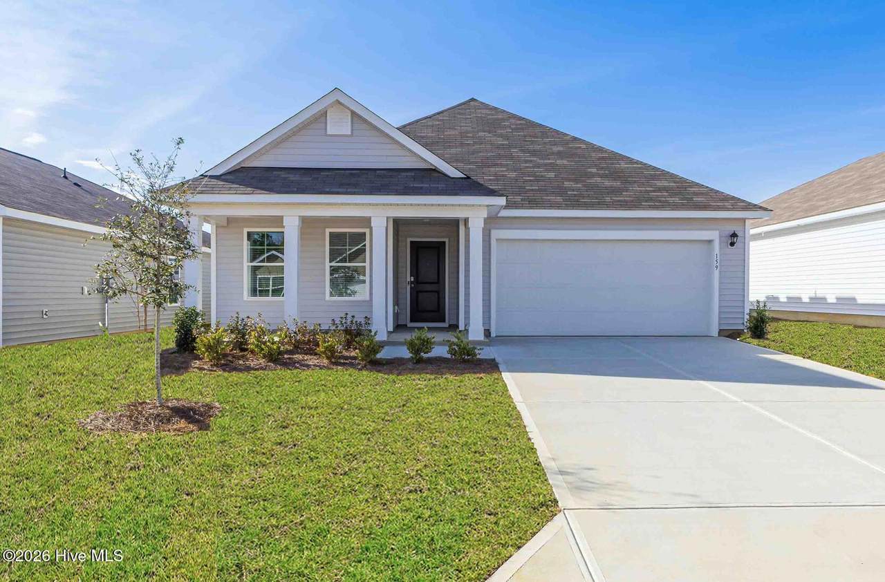 1021 Pampas Grass Drive - Photo 1