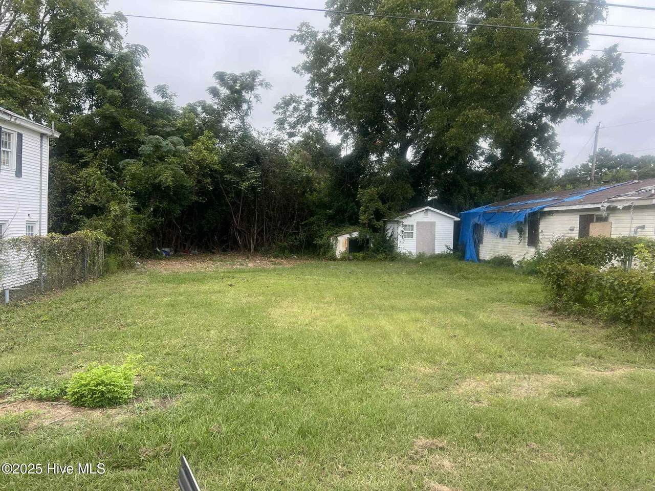 1006 Williams Street - Photo 1