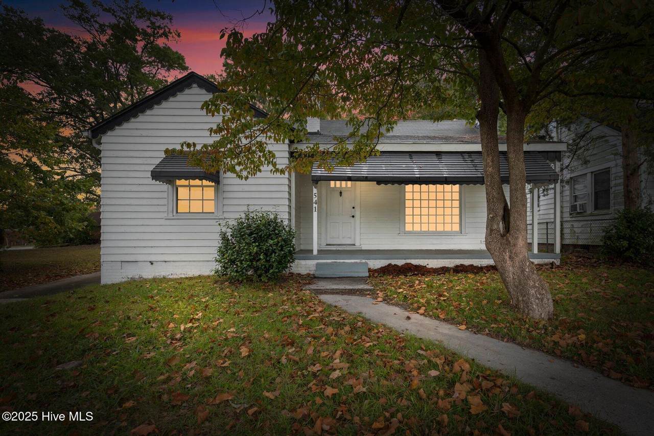 541 Daughtry Street - Photo 1