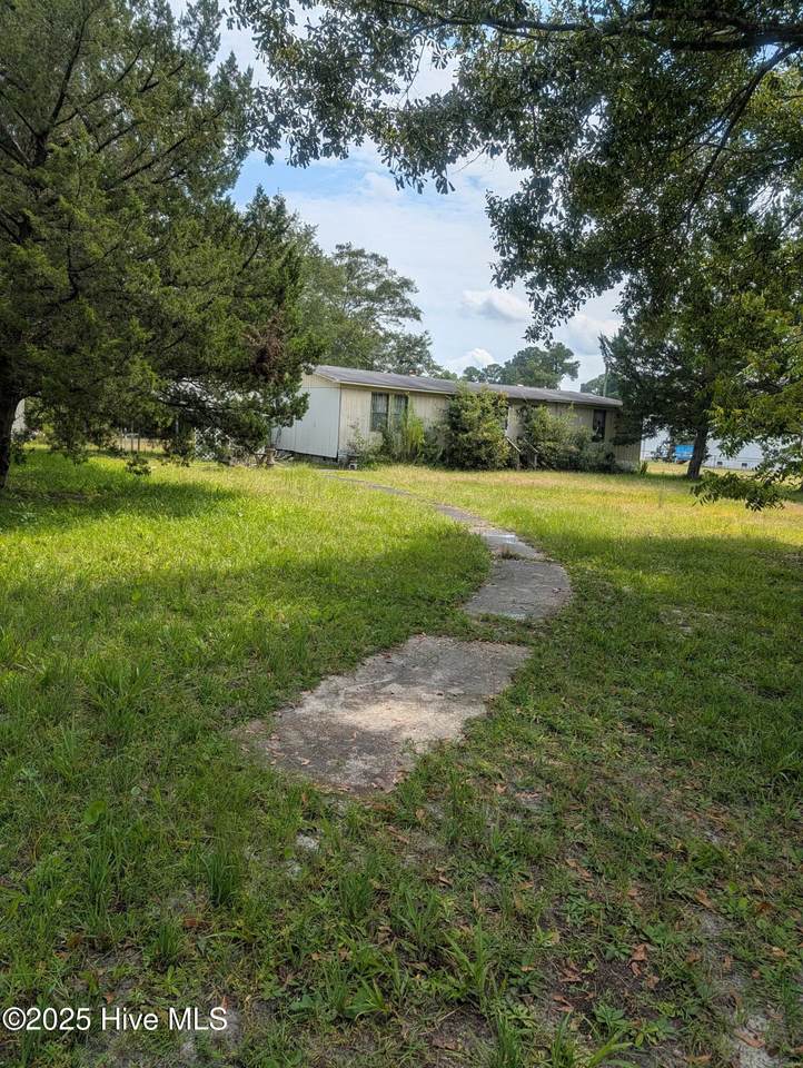 233 Pineview Road - Photo 1