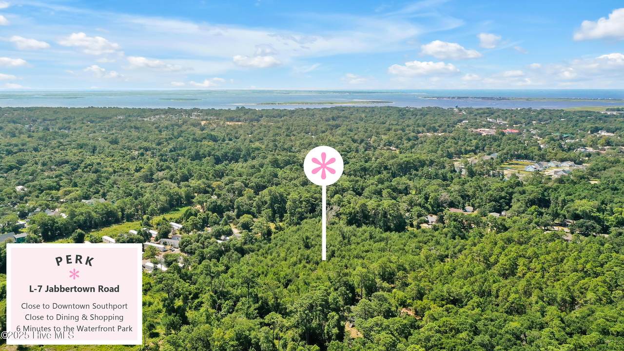 L-7 Jabbertown - Photo 1