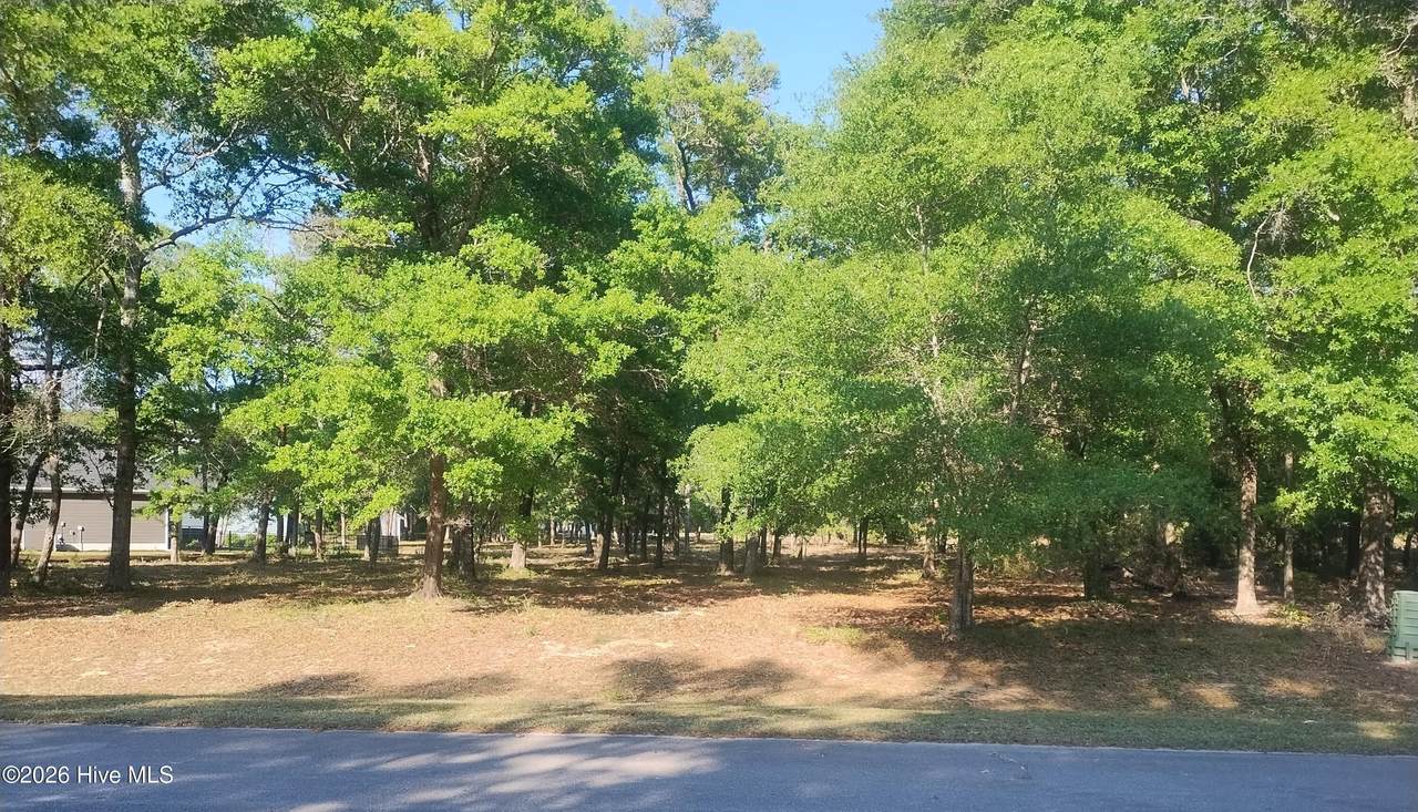 2168 Clambake Court - Photo 1