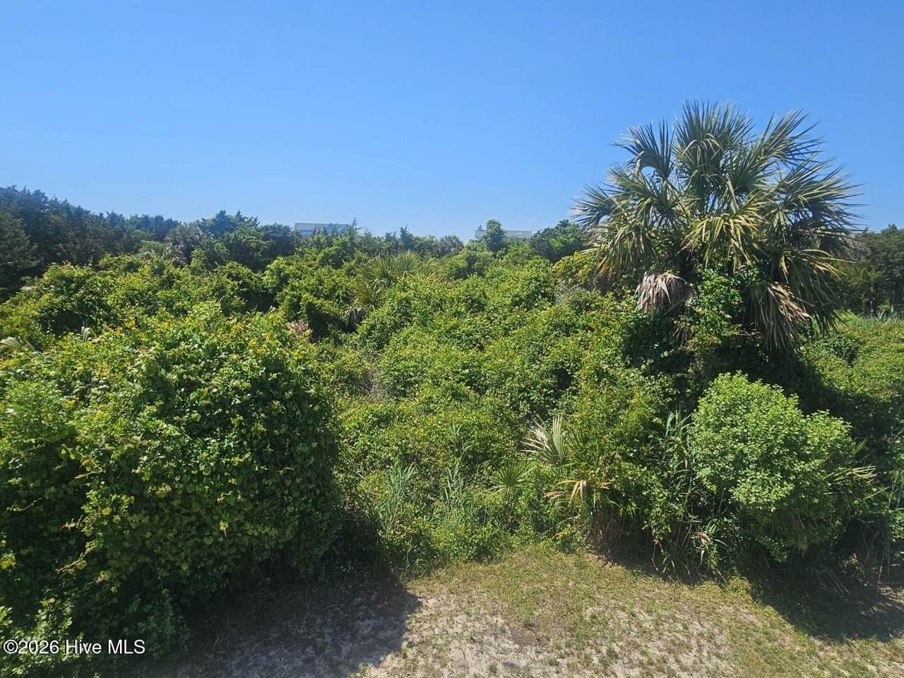 11 Horsemint Trail - Photo 1
