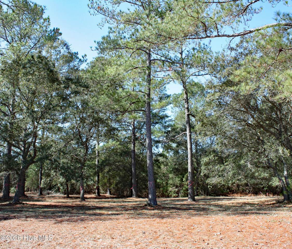 7483 Haddington Place - Photo 1