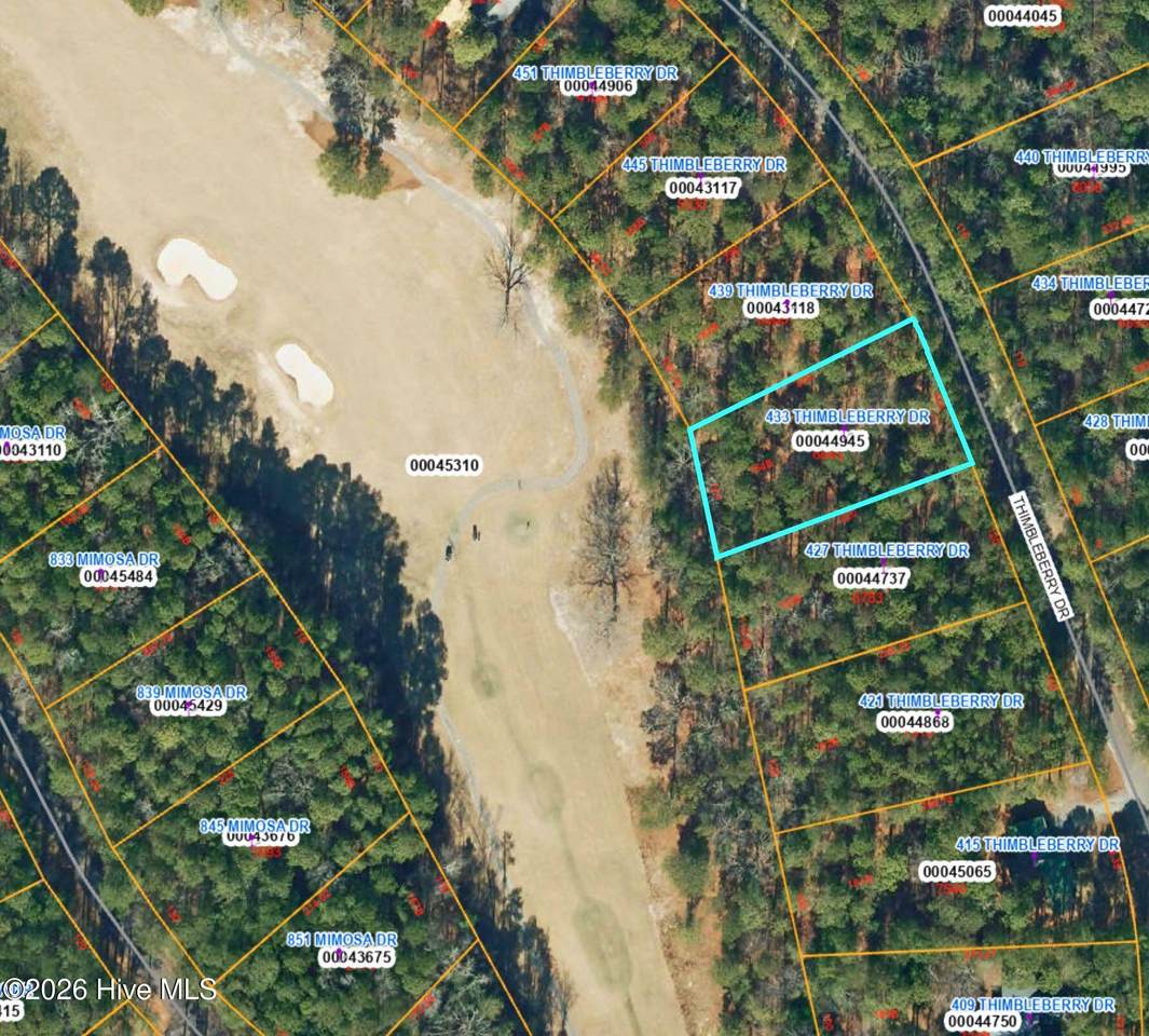 433 Thimbleberry Drive - Photo 1