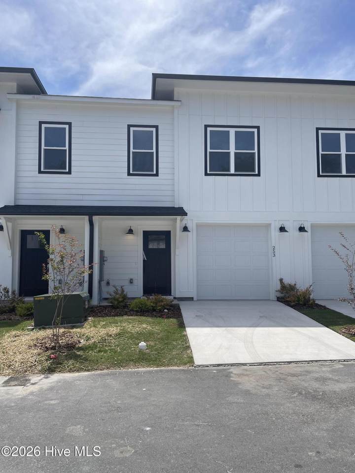 253 Townhome Lane - Photo 1