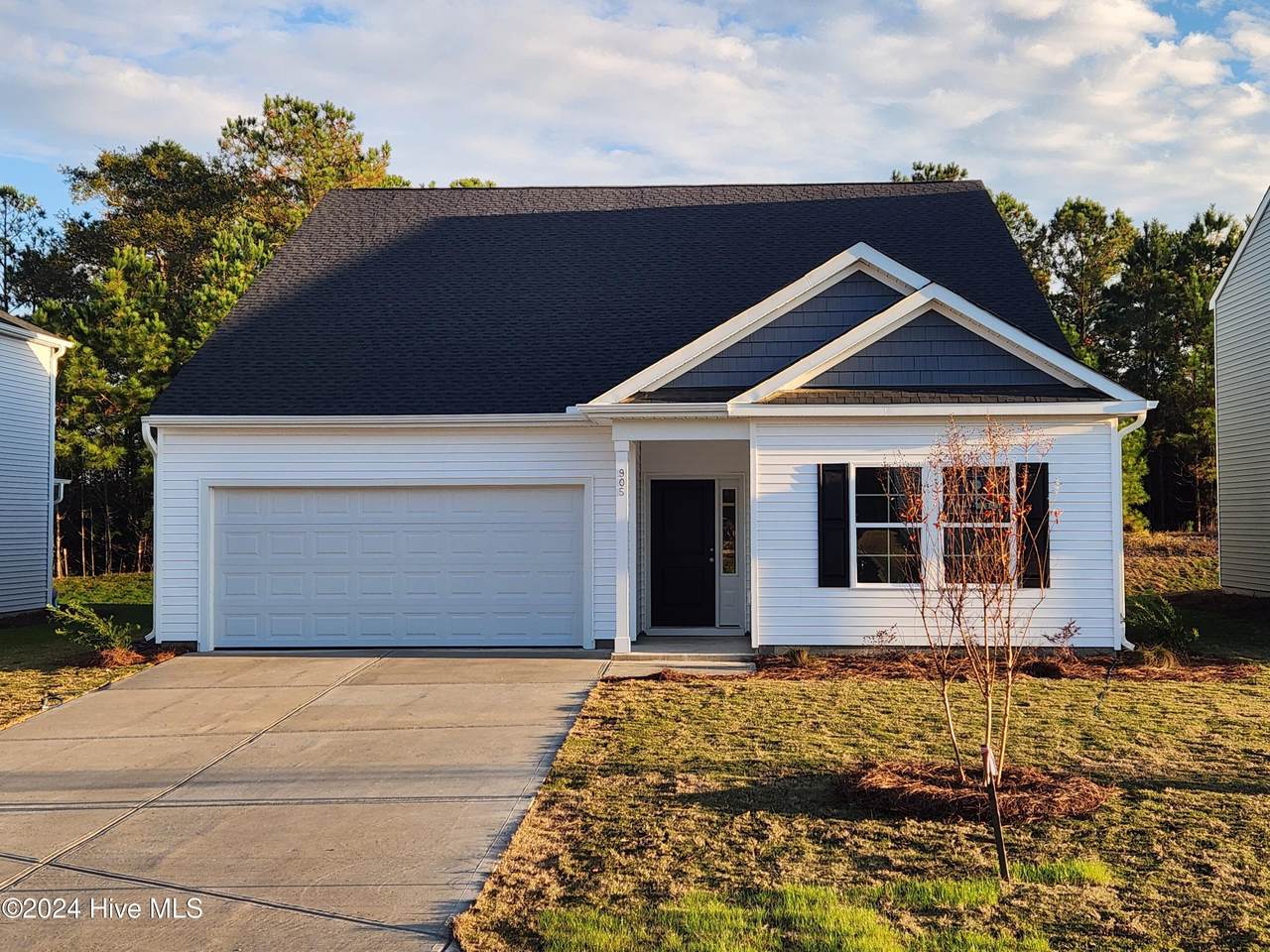 905 Rosie Drive - Photo 1