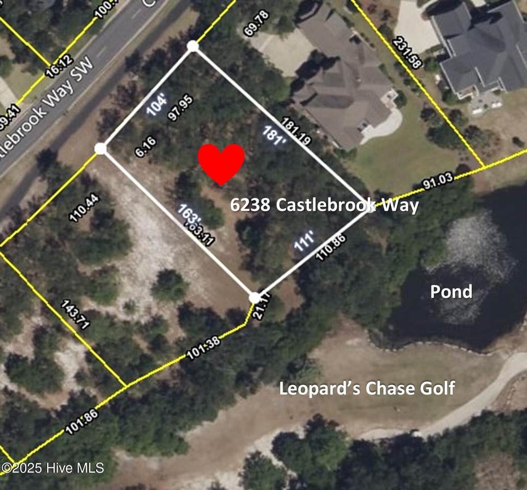 6238 Castlebrook Way - Photo 1