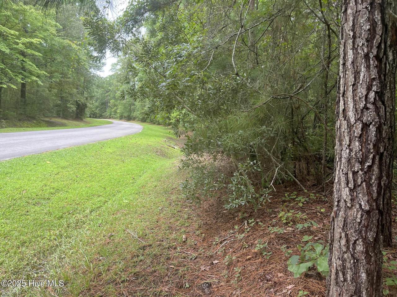 129 Winding Creek Drive - Photo 1