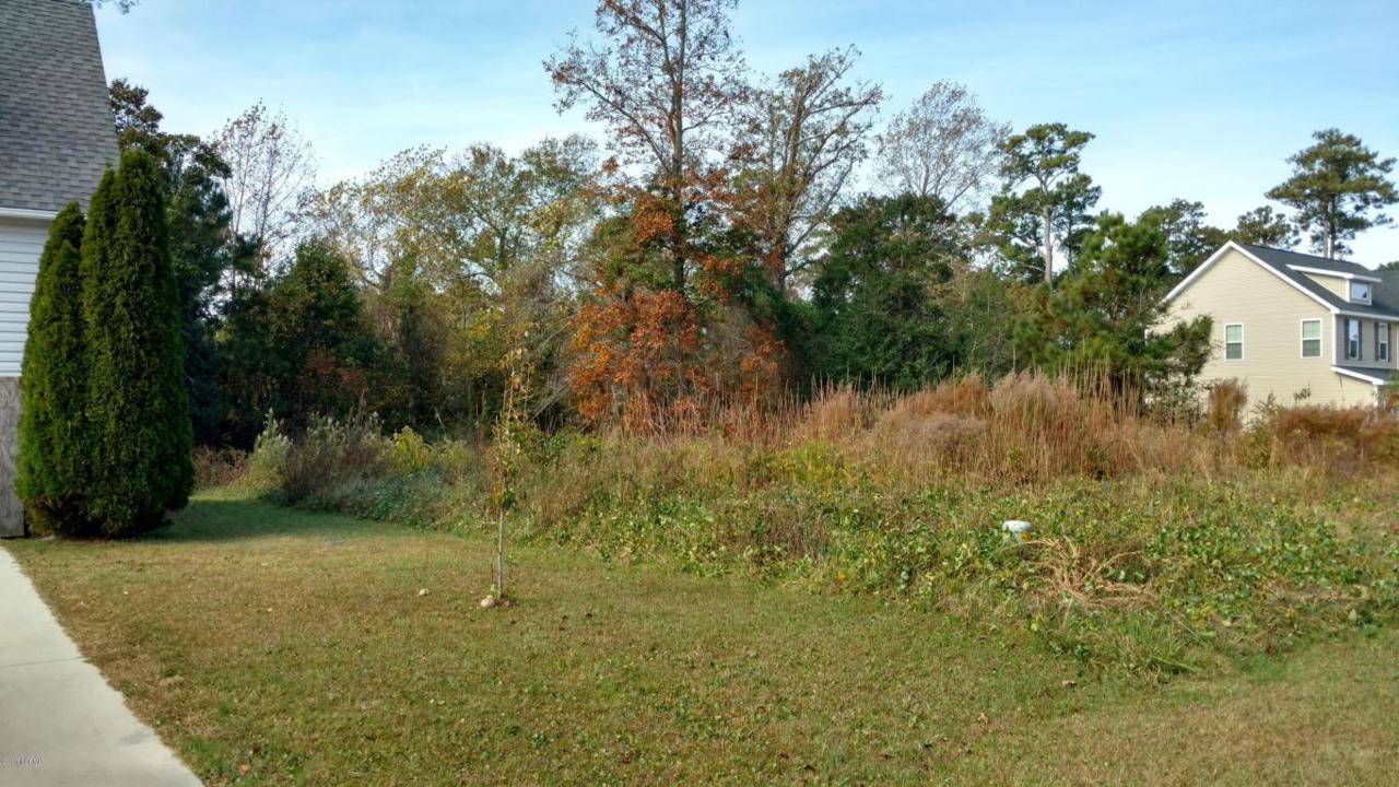 1005 Meridian Drive - Photo 1