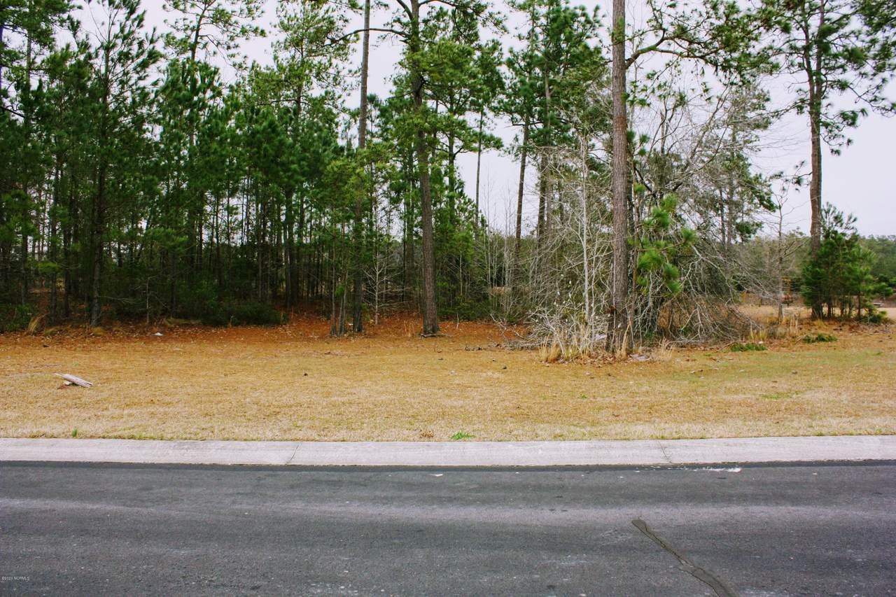 1191 Sabel Loop - Photo 1