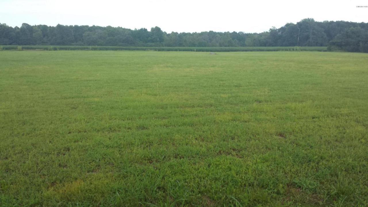 3573 Cobb Dail Road - Photo 1