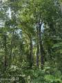 Lot 2 Newberry Landing - Photo 9