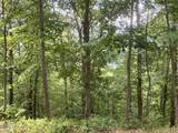 Lot 51 Buck Ridge Drive - Photo 10