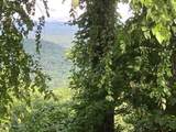 Lot 51 Buck Ridge Drive - Photo 2