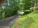 Lot 51 Buck Ridge Drive - Photo 3